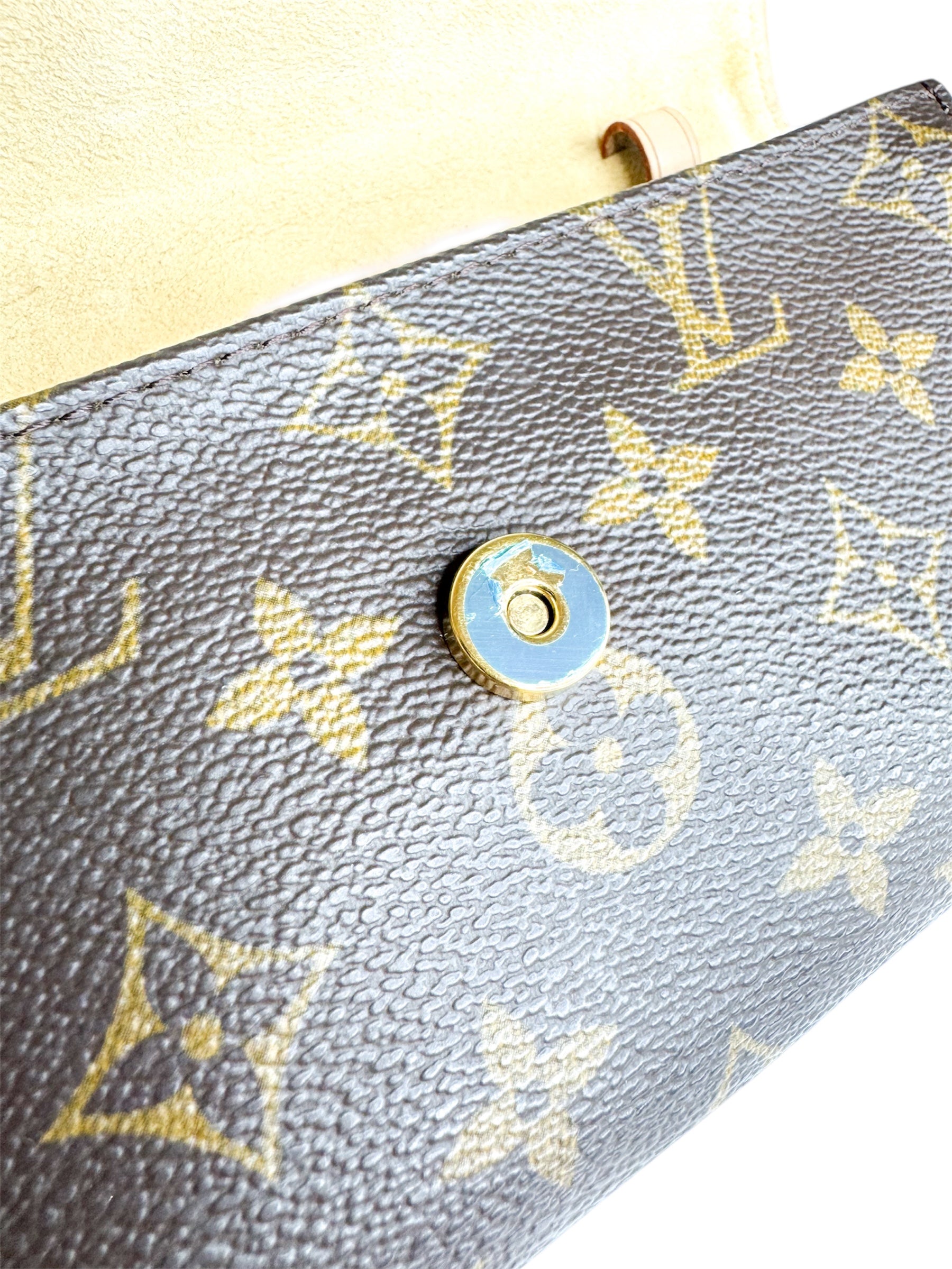 Louis Vuitton Brown Monogram Vintage Twin Pochette PM